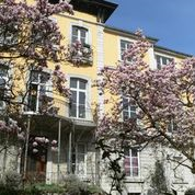 Stadtvilla mit Magnolie